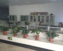 豆奶黄色视频展示