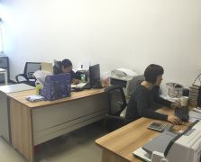 豆奶黄色视频展示